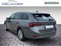 Daumennagel 4 - Skoda Octavia Combi 2.0 TDI DSG Style