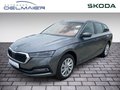 Daumennagel 1 - Skoda Octavia Combi 2.0 TDI DSG Style