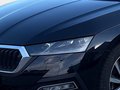 Daumennagel 5 - Skoda Octavia Combi First Edition AHK, ACC, Navi, SHZ v+h, HUD, Licht-Paket