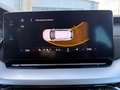 Daumennagel 20 - Skoda Octavia Combi First Edition AHK, ACC, Navi, SHZ v+h, HUD, Licht-Paket
