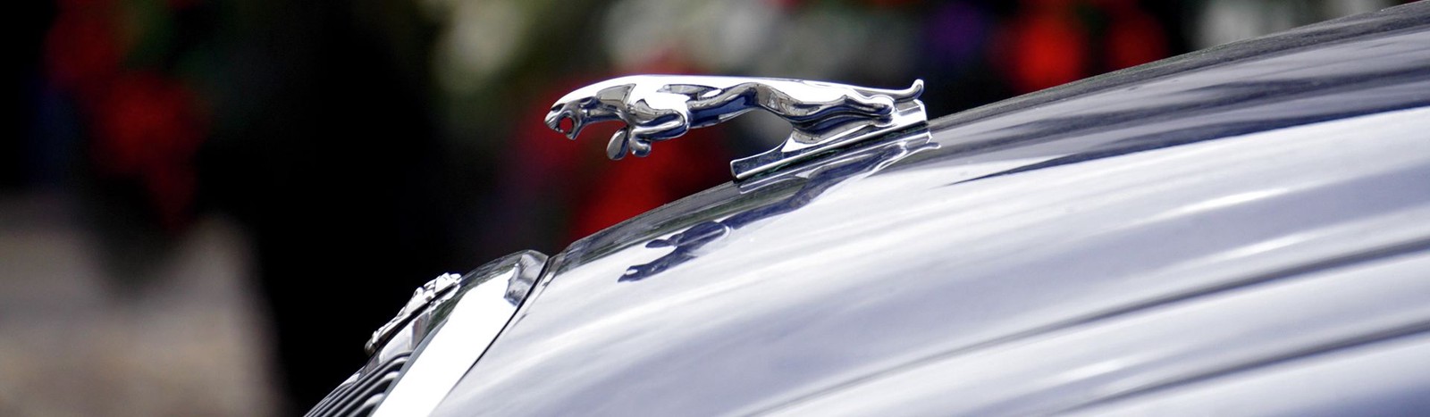 Jaguar - Kümpel | Englische Oldtimer & Youngtimer kaufen und verkaufen