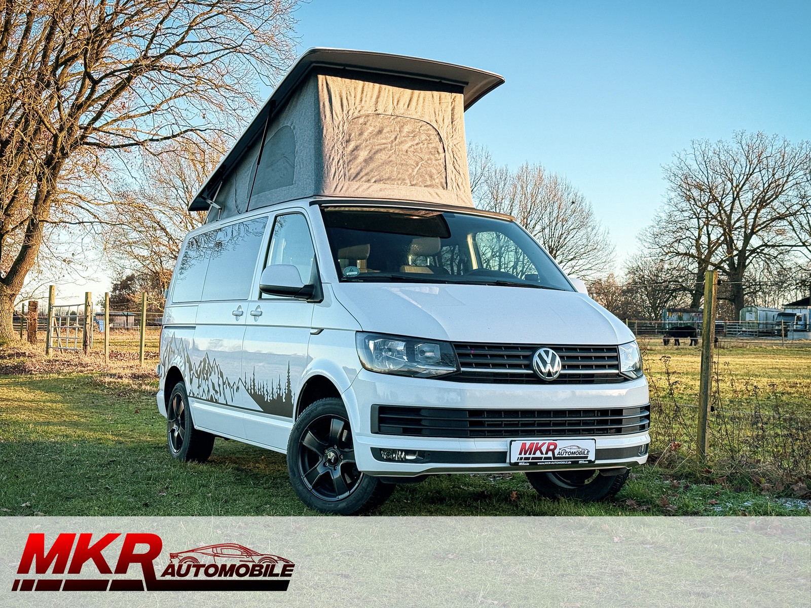Volkswagen T6 150PS Camper WoMo Caravan Aufstelldach Klima Küche