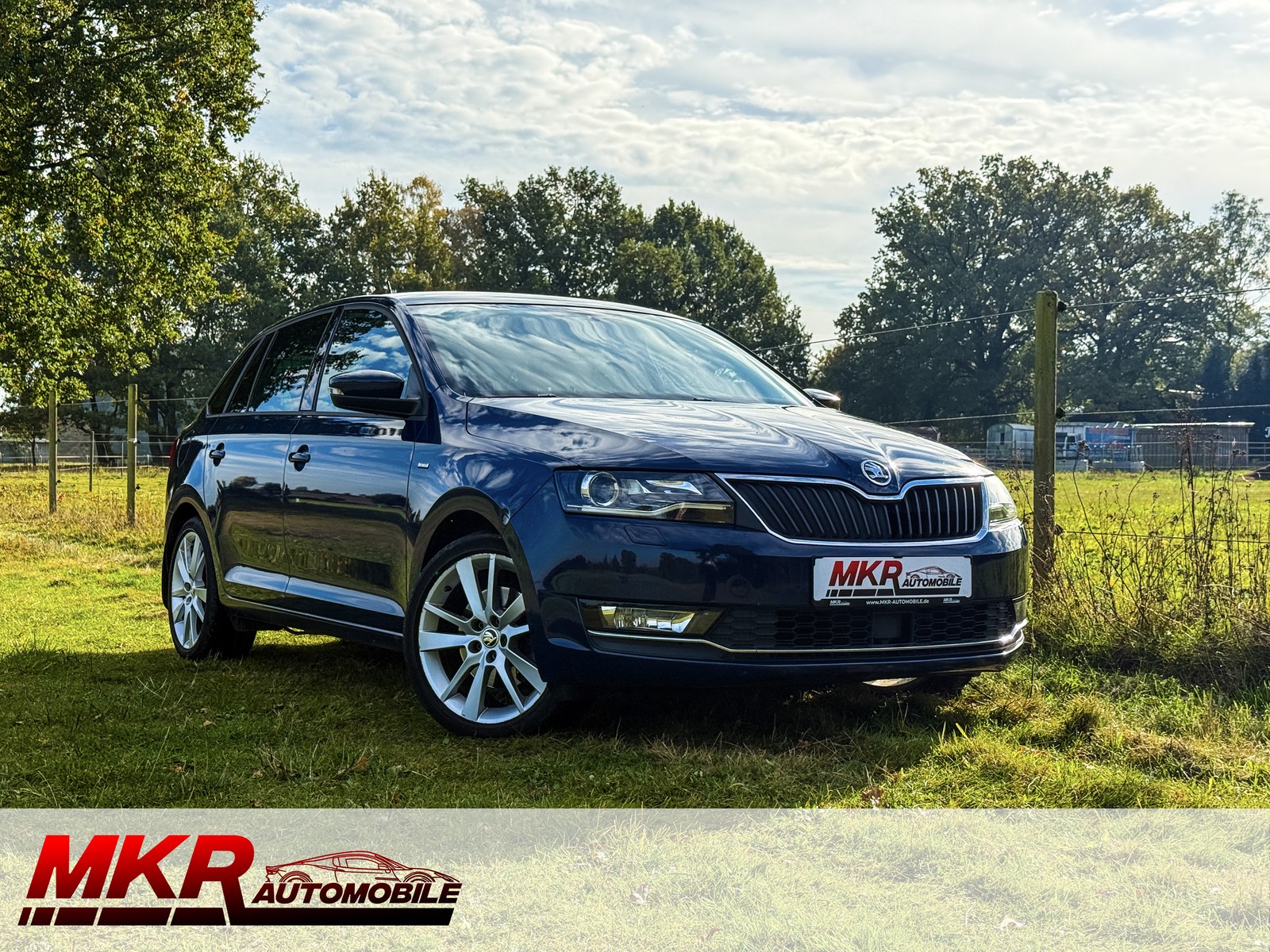 Skoda Rapid Spaceback Klima Navi Tempomat SHZ AHK