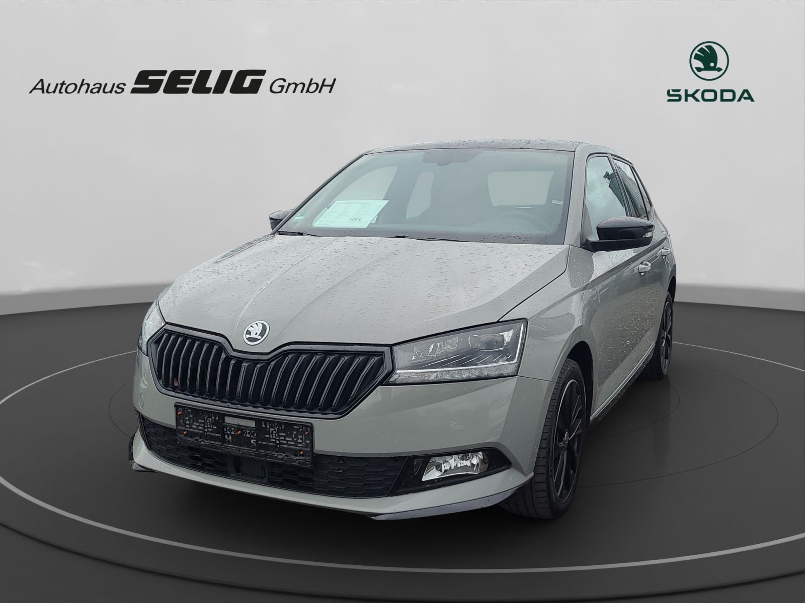 Skoda Fabia III Monte Carlo 110 PS,PDC,SH,Klimaautomatik,,LED,Panoramadach