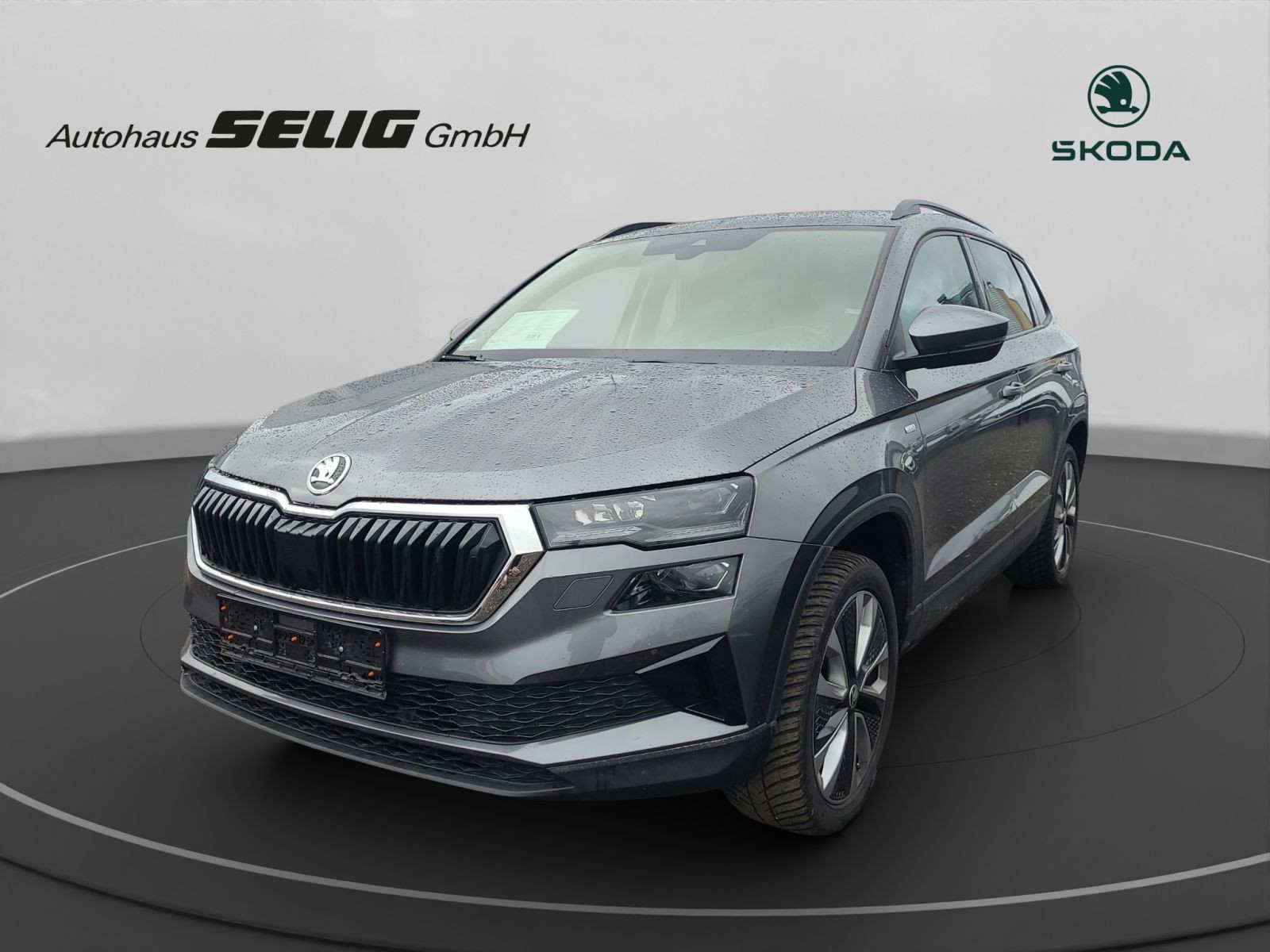 Skoda Karoq Tour 1.5 TSI 7-Gang DSG 150 PS, AHK, Amundsen, 5 Jahre Garantie 100 TKM