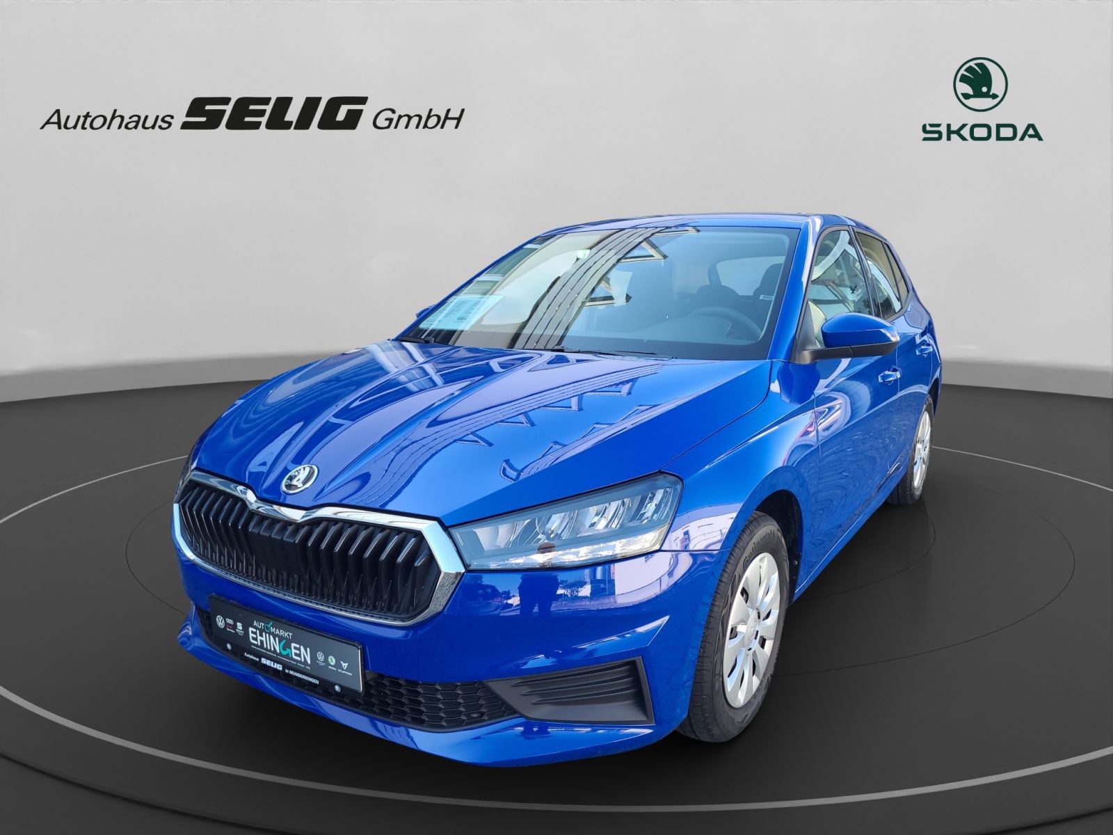 Skoda Fabia Active 1.0 65 PS,PDC,SmartLink,SH,WP