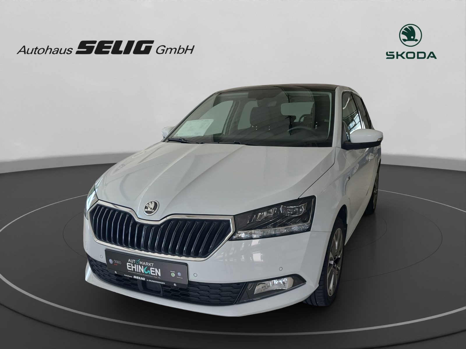 Skoda Fabia III 1.0 TSI Best of Clever, ACC, Alu, LED, Glasdach, ...