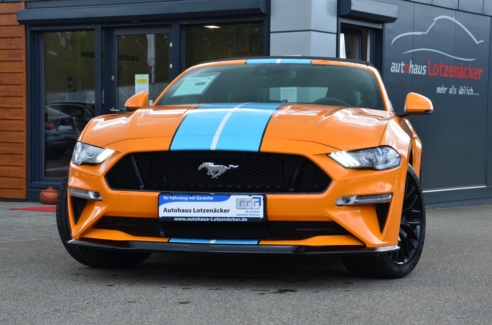 Ford Mustang Convertible GT MagnaRide+Digi 5,0 V8 | 1.HD | dtsch Mod.