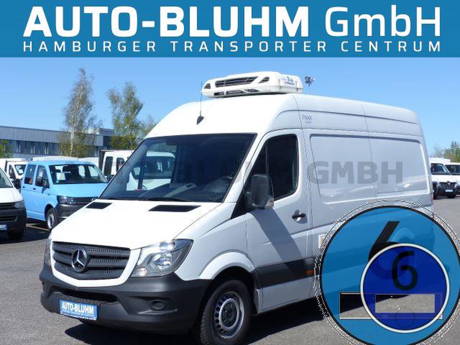 Mercedes-Benz Sprinter 316 CDI-EU6 Pharma-Kühlwagen + F&S-Kühlung
