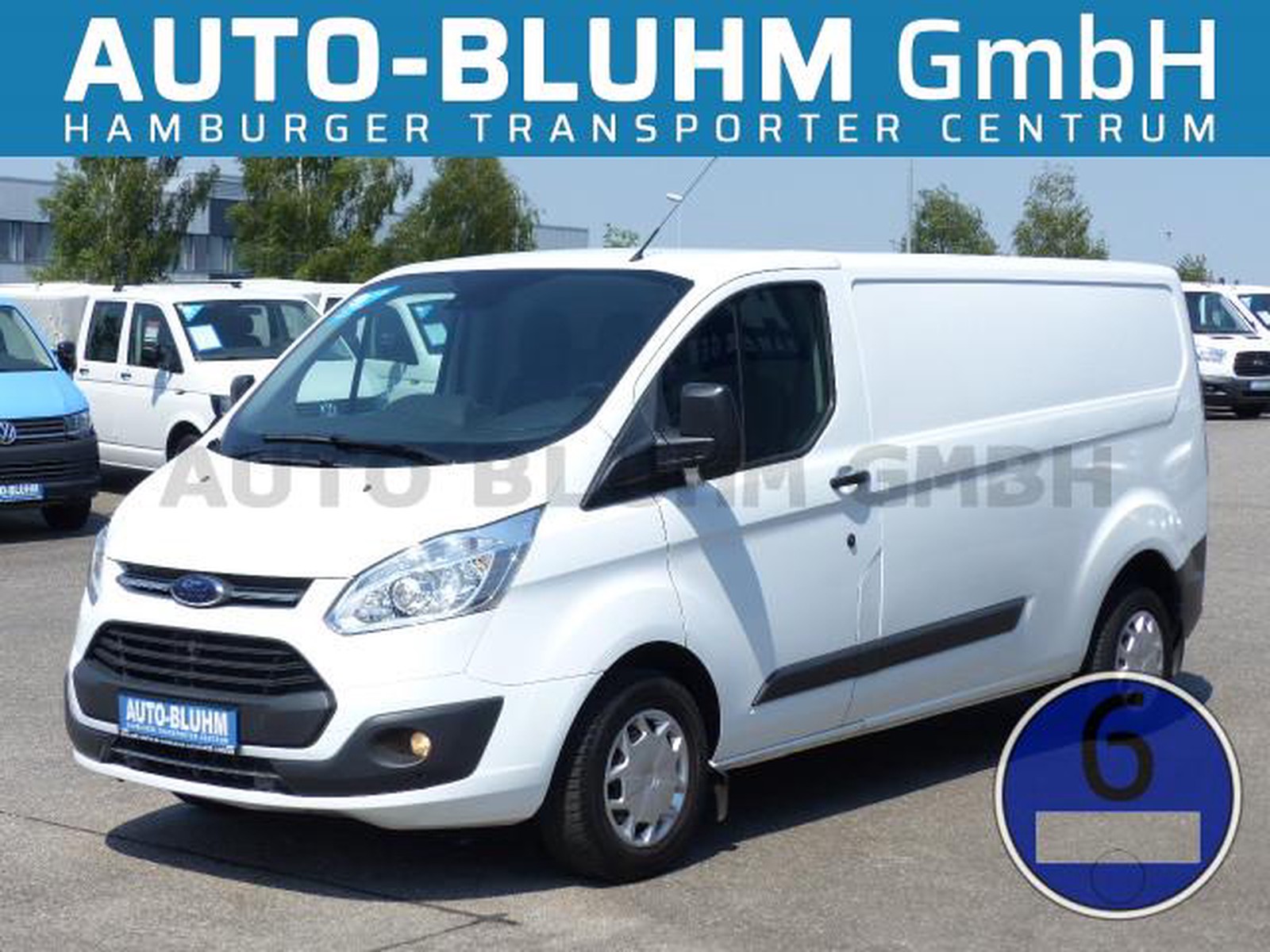 Ford Custom 290 TDCi Kasten Trend L2 + Klima