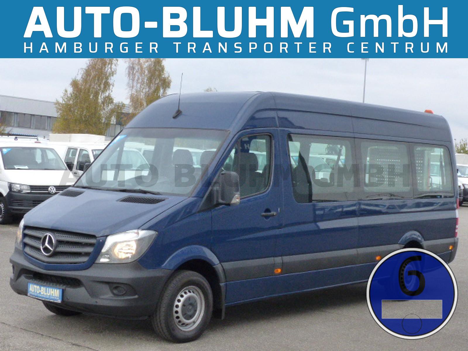 Mercedes-Benz Sprinter 314 CDI Rollstuhlbus Maxi + Rampe Klima