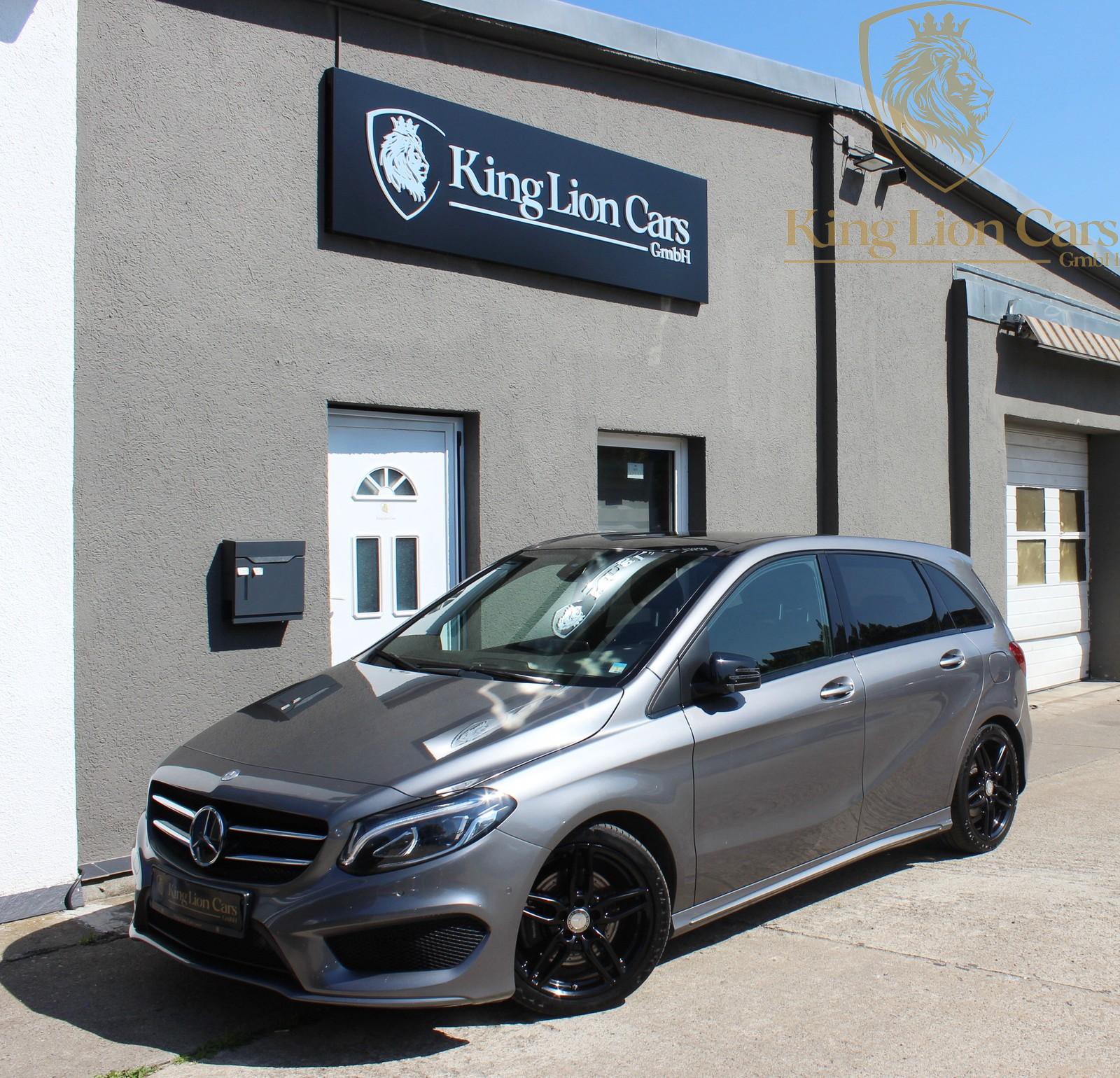 Mercedes-Benz B 220 CDI 4M AMG SPORTPAKET+DISTRONIC+PANO+AHK