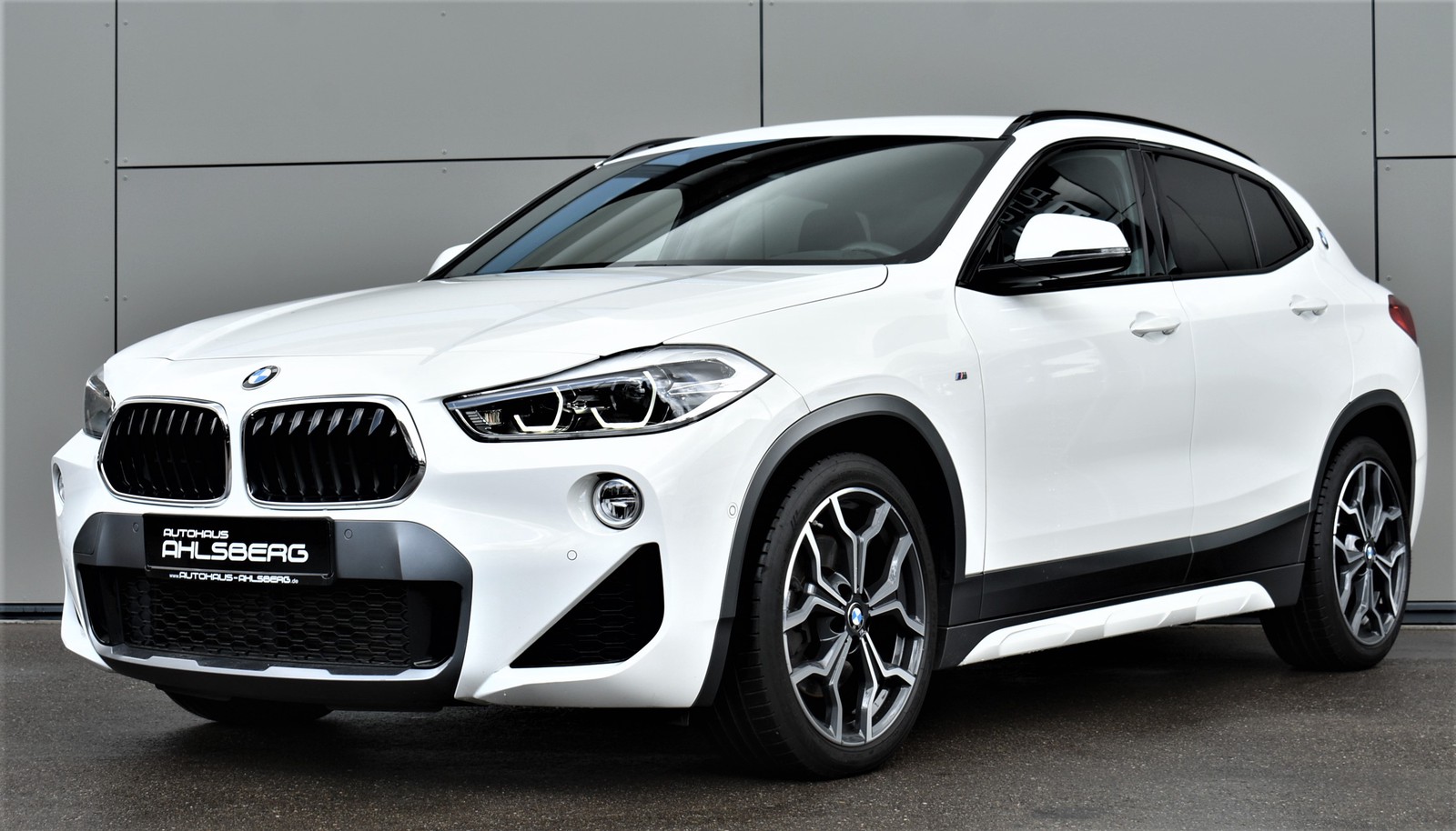 BMW X2 xDrive 20 d M Sport Shadow ACC/LED/HUD