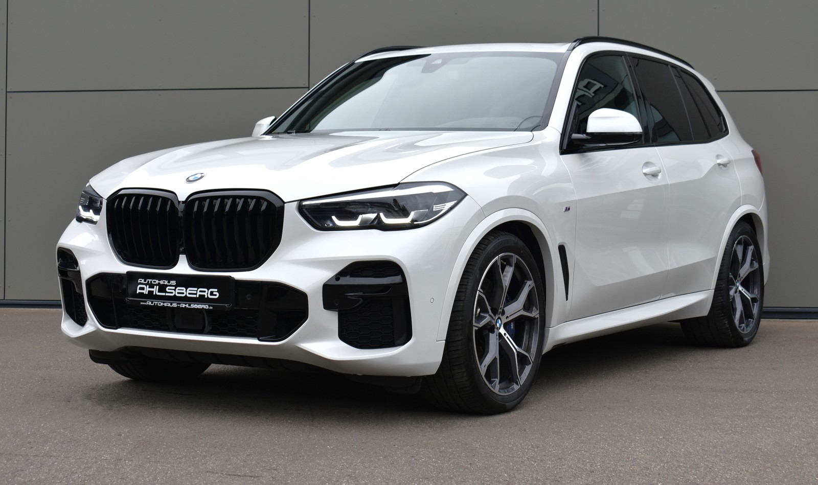 BMW X5 30 XD M Sport Shadow 7-SI./LIVE/ACC/PANO/STHZ./HUD/360°/AHK/LUFT