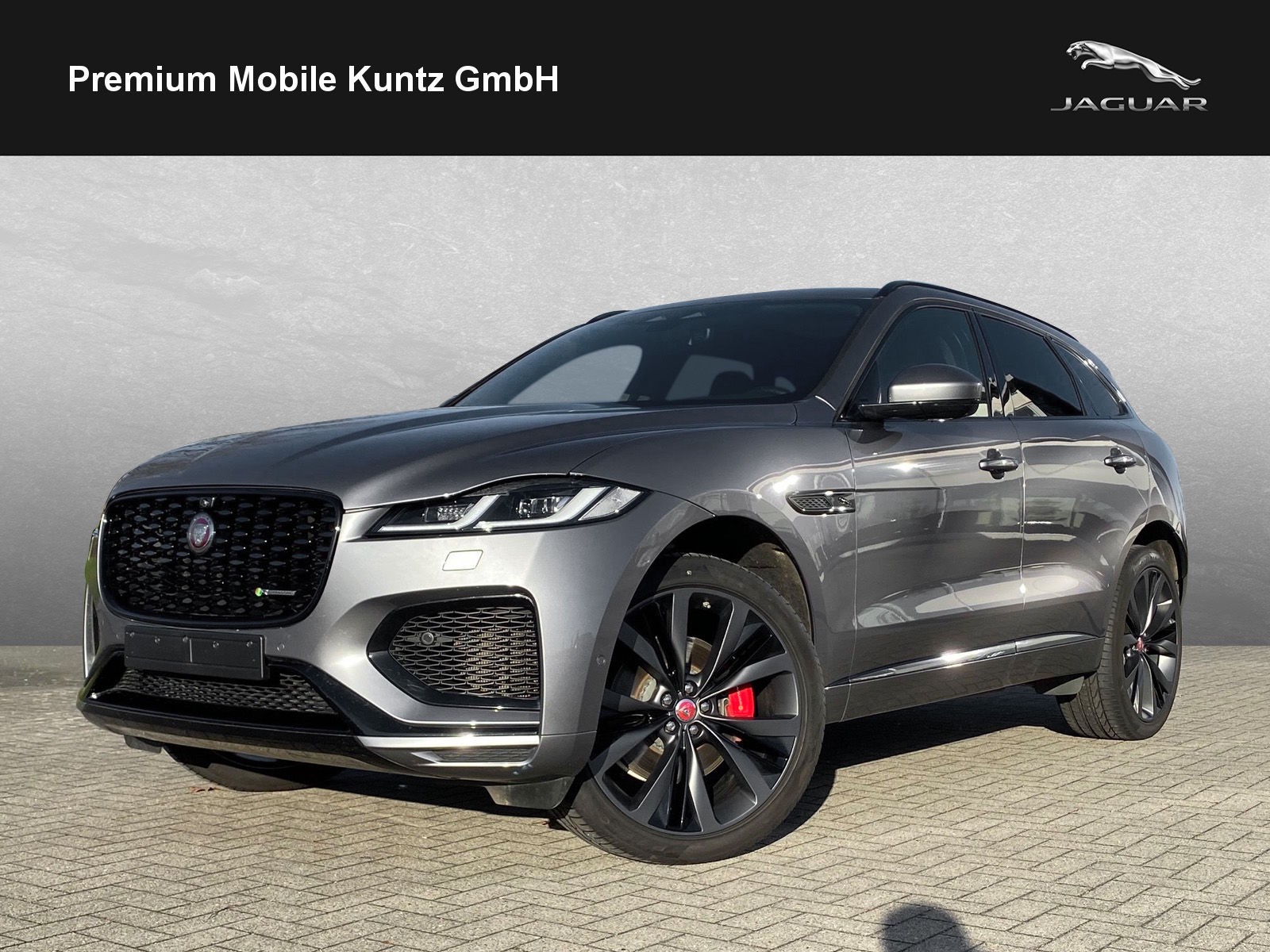 Jaguar F-Pace D300 R-Dynamic HSE Pano, Performance-Sitze