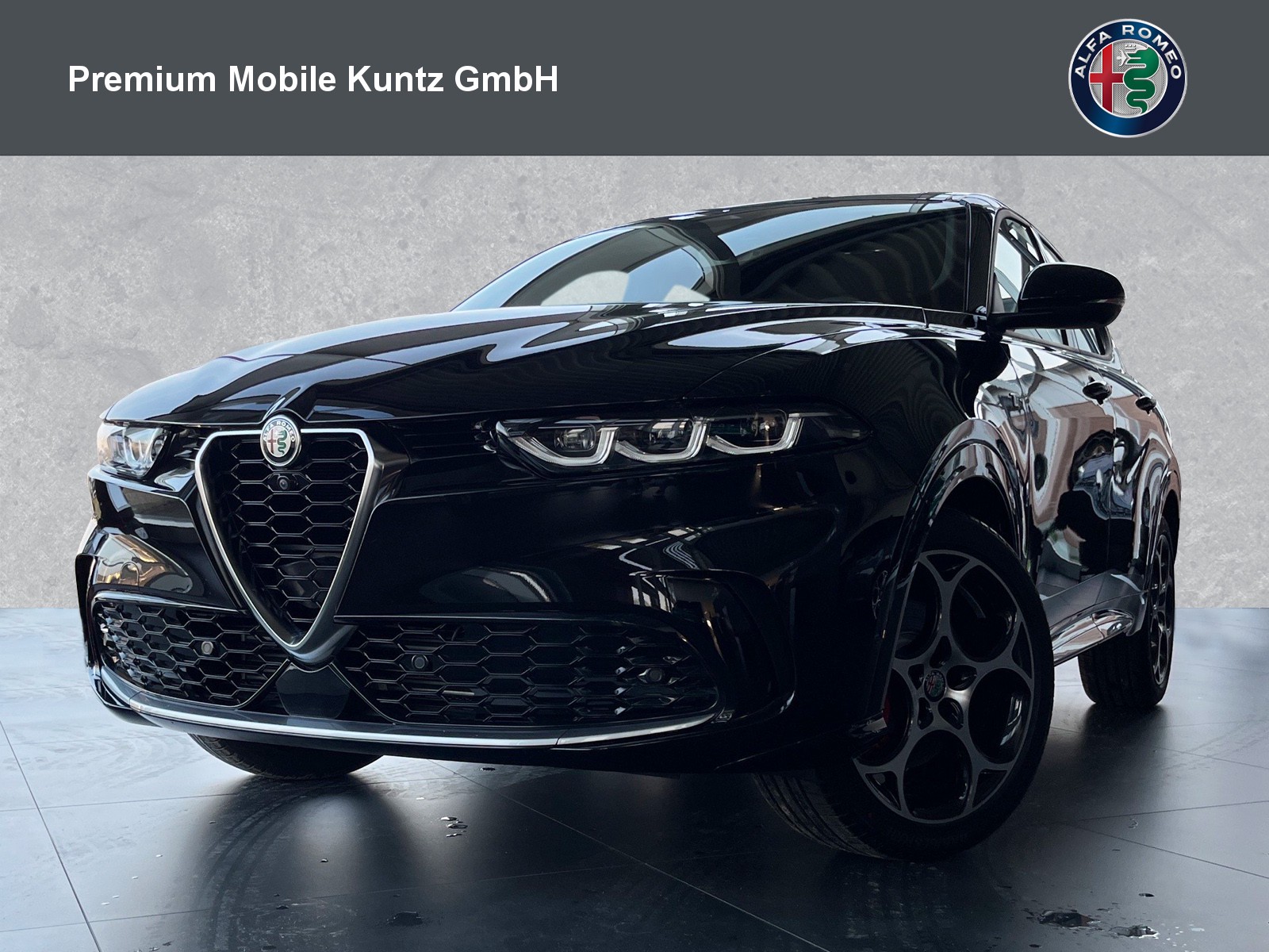 Alfa Romeo Tonale Ti 1.6 VGT-D +Premium-Paket+Winter-Paket