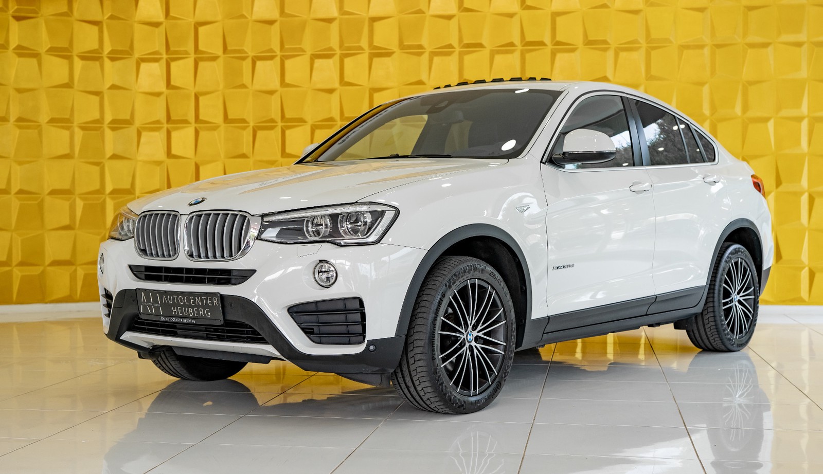 BMW X4 xDrive 30d M Sportpaket KAMERA HUD AHK