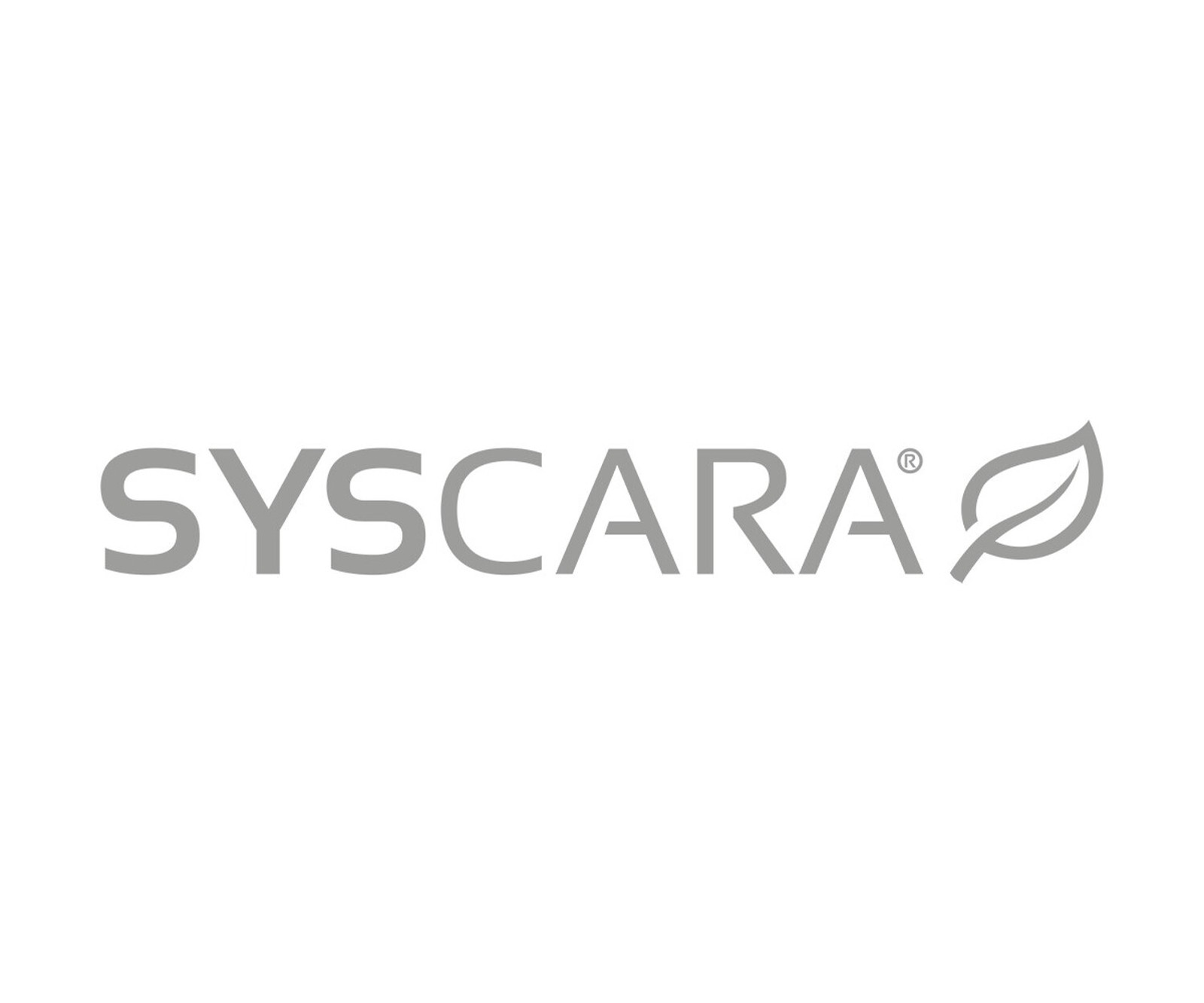 Carado pro A 361 Sofort verfügbar/ Sommeraktion