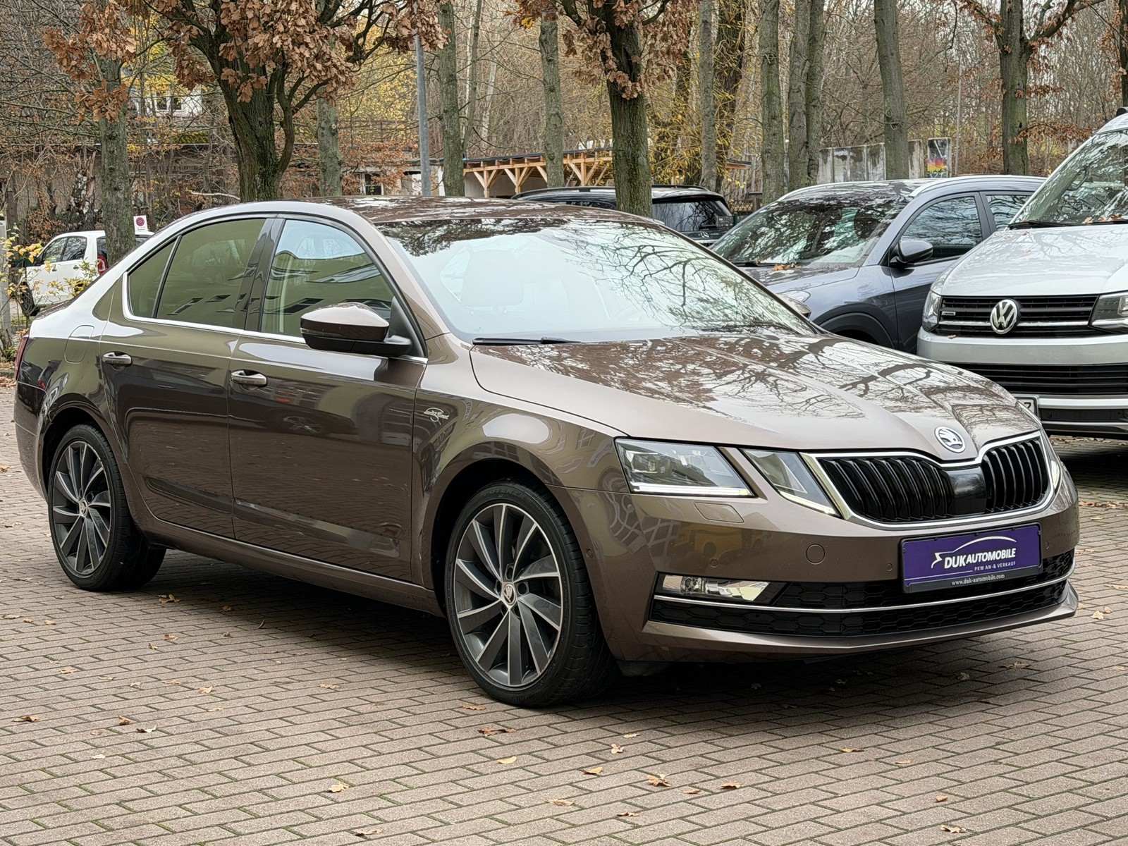 Skoda Octavia L&K 4x4 Automatik Standheizung