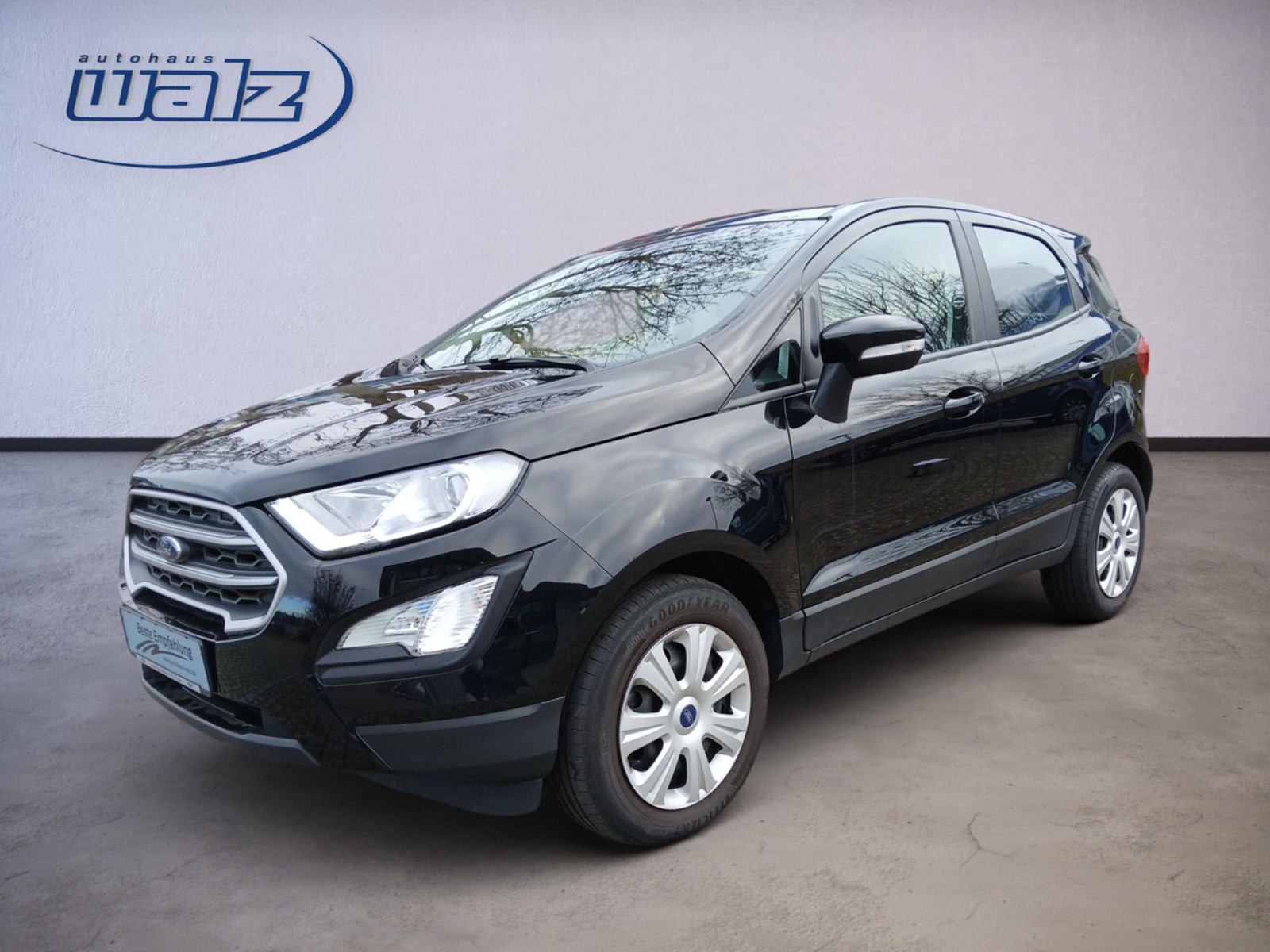 Ford EcoSport Cool&Connect 1.0 Ecoboost Winterpaket