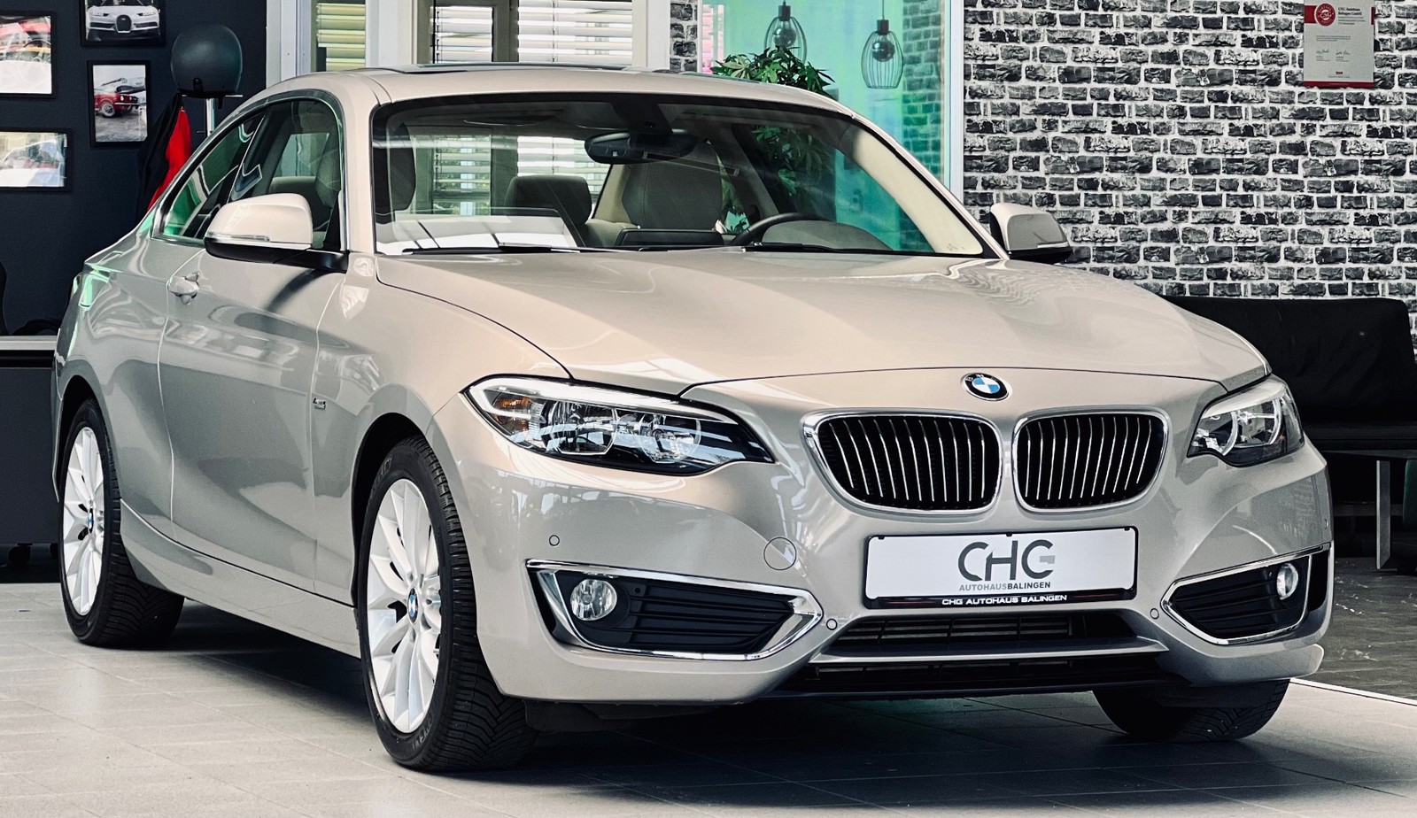 BMW 220i Luxury Line KAMERA|SHZ|PDC|TEMP.|S.DACH