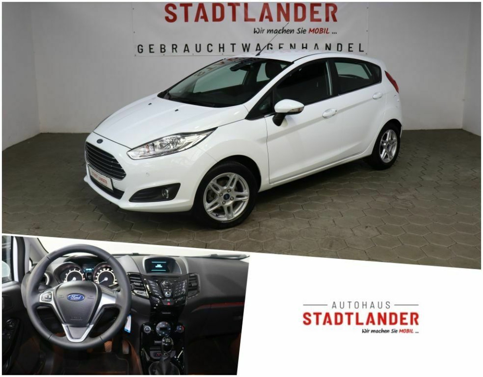 Ford Fiesta 1.0 Titanium 5-trg. / Klima / Wenig KM
