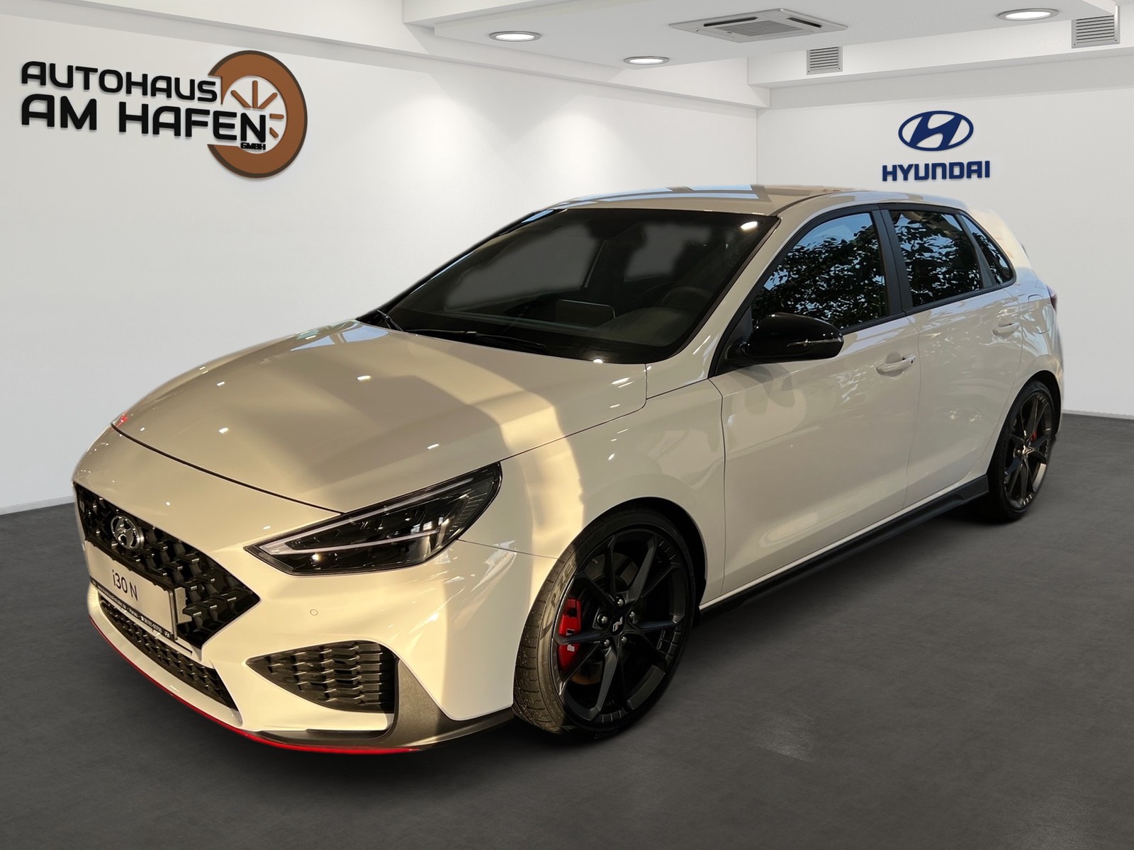 Hyundai i30 N Performance Navi elektr.Sitze LED