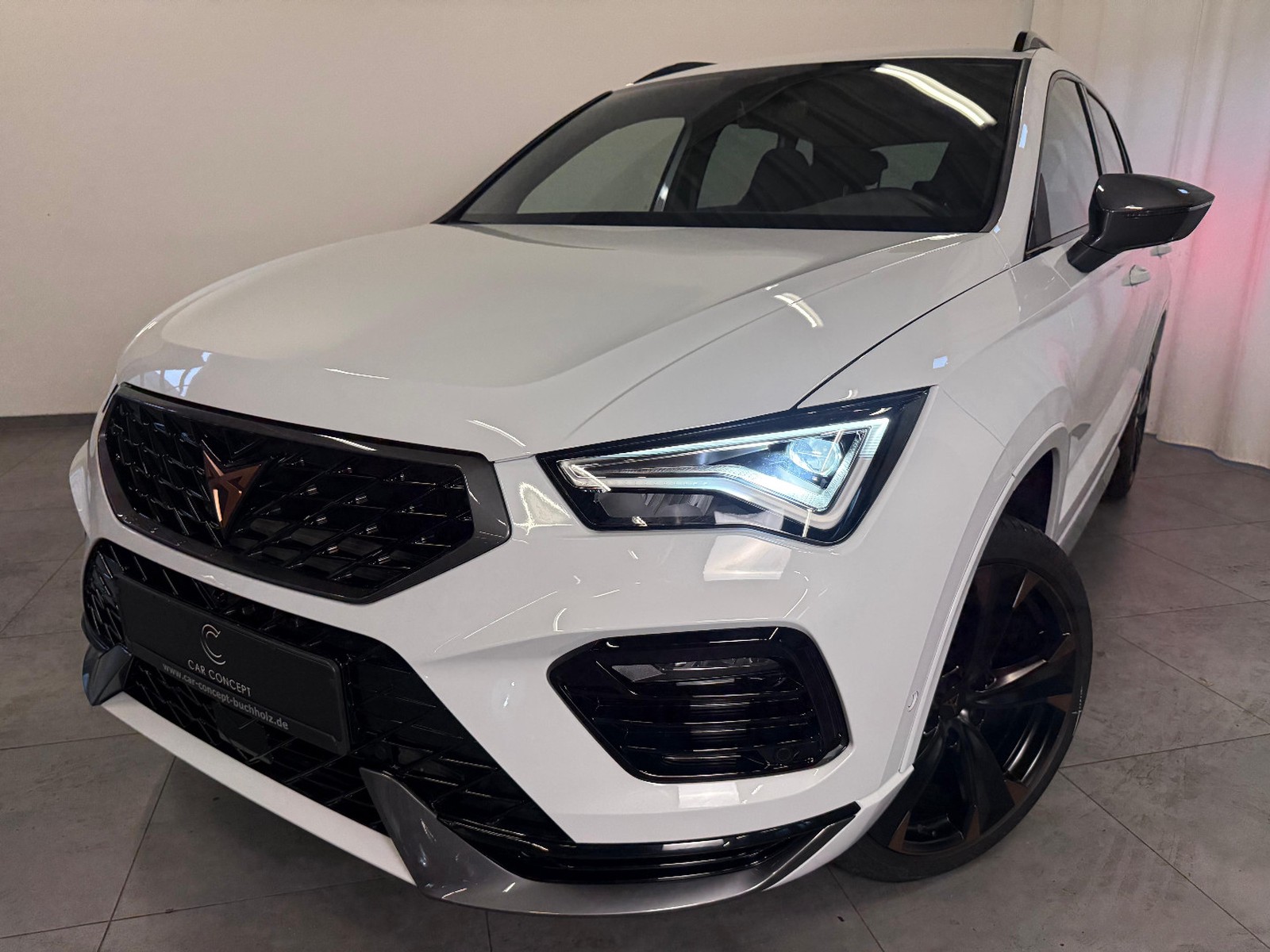 CUPRA Ateca 1.5 TSI DSG AHK KAMERA 19" XL