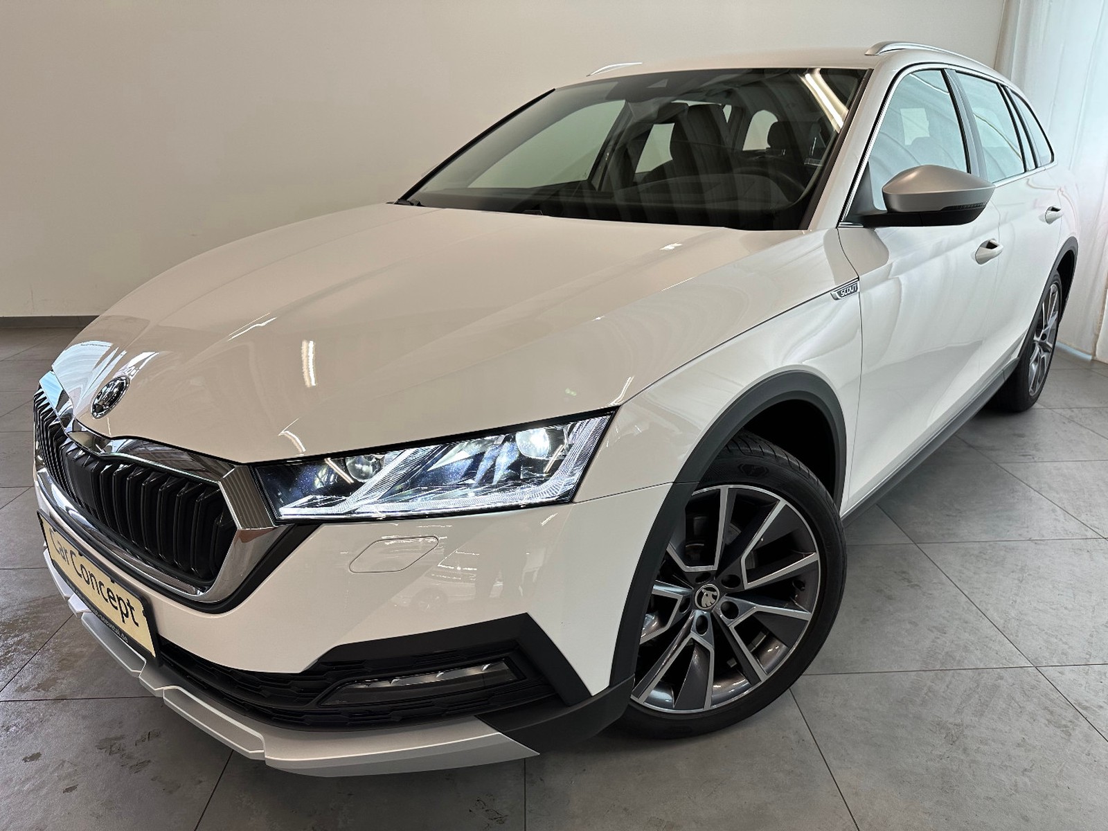 Skoda Octavia Combi Scout 4x4 AHK StHz LEDER CANTON