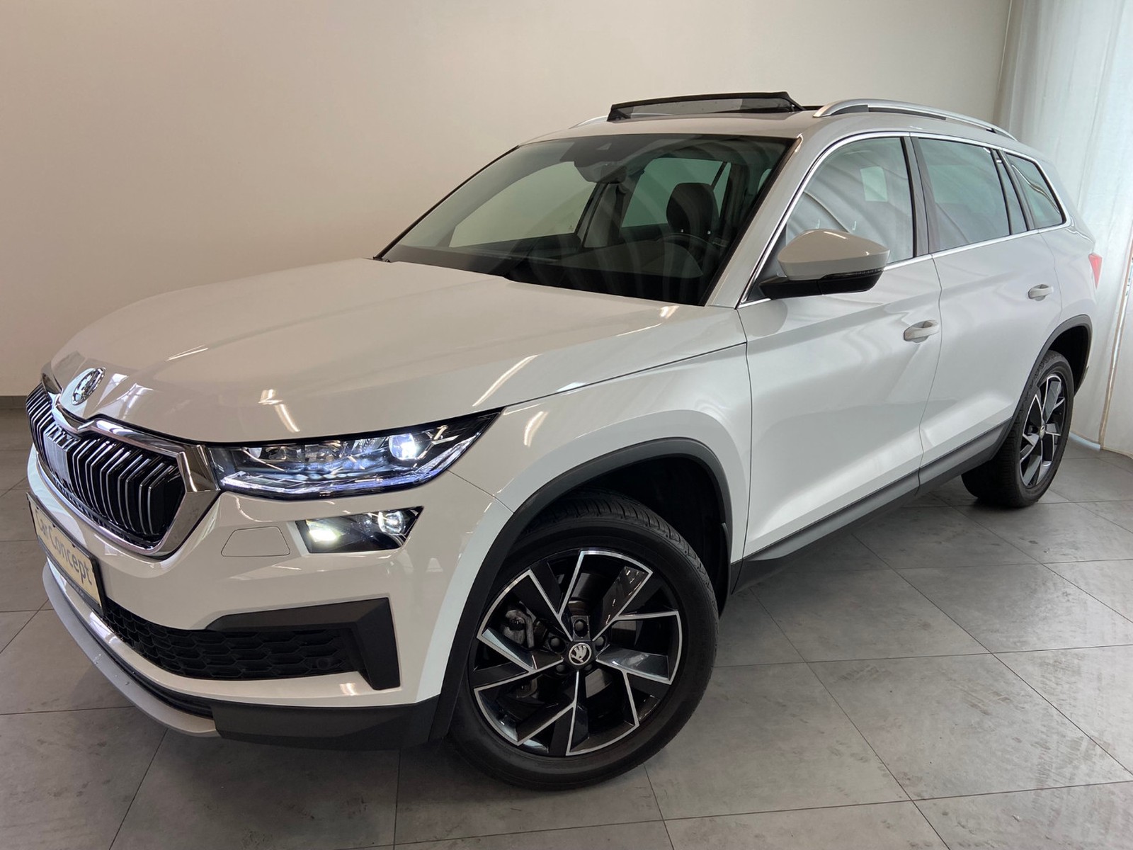 Skoda Kodiaq Style TDI 4x4 PANO LEDER AHK StHz 19"