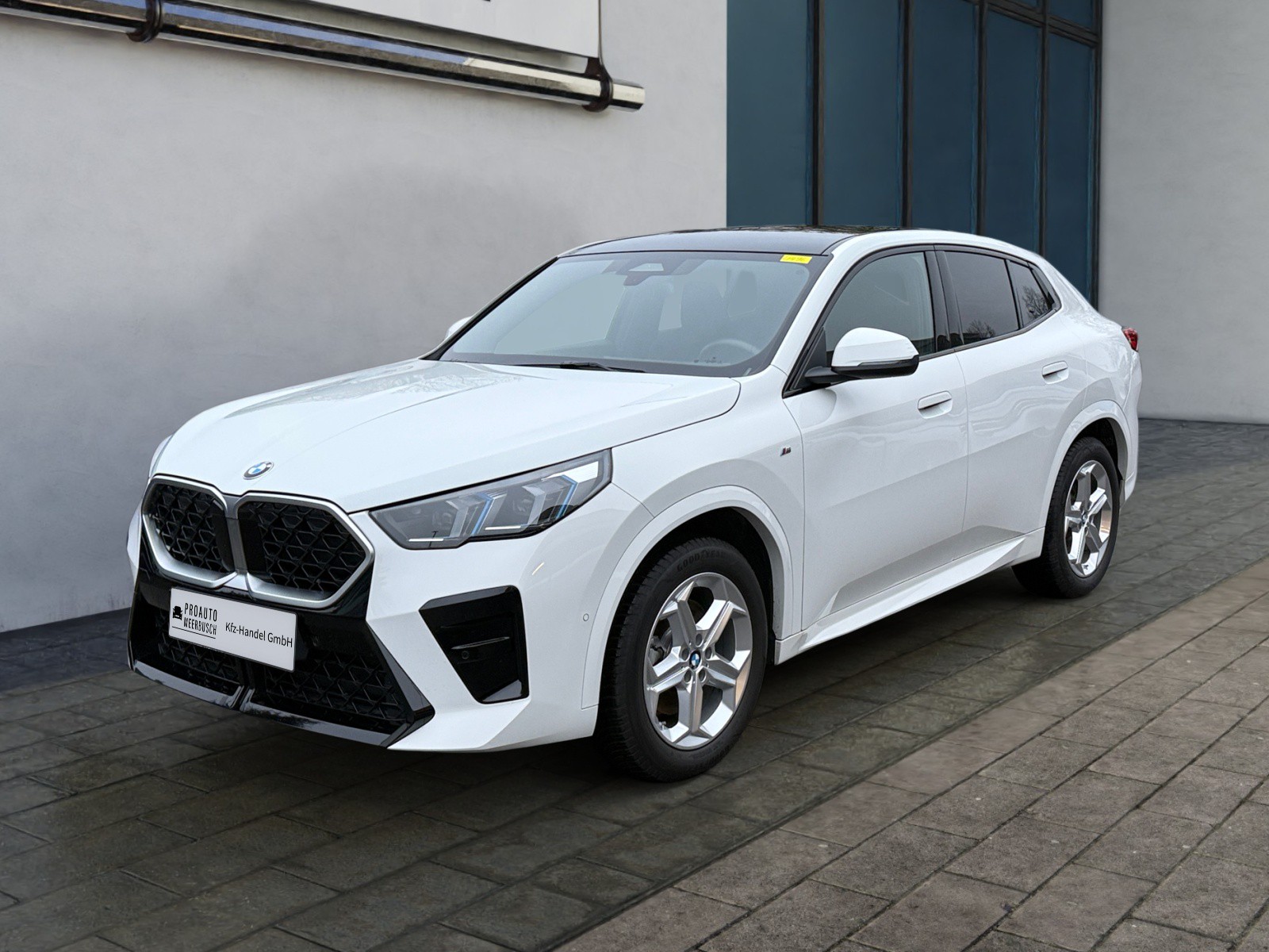 BMW X2 20i sDrive M Sport AHK/MMRY/PANO/H&K/PRKASSIST