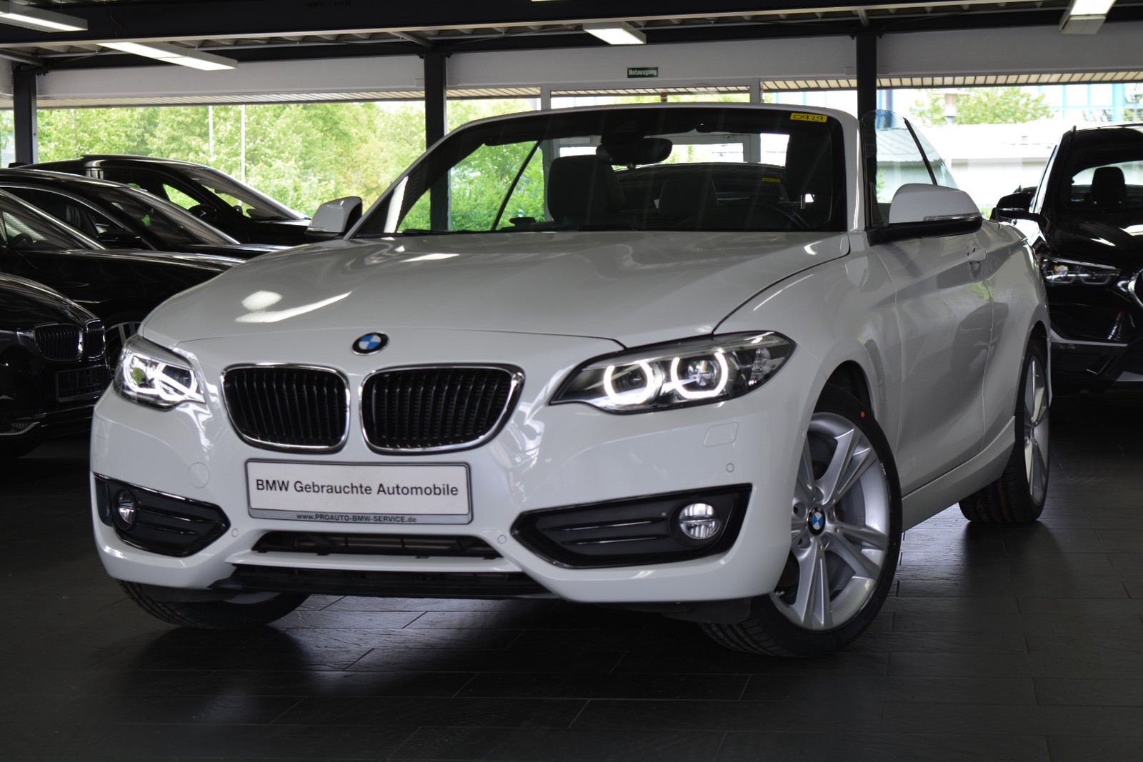 BMW 220d Advantage Cabrio/LEDER/Komfortzugang
