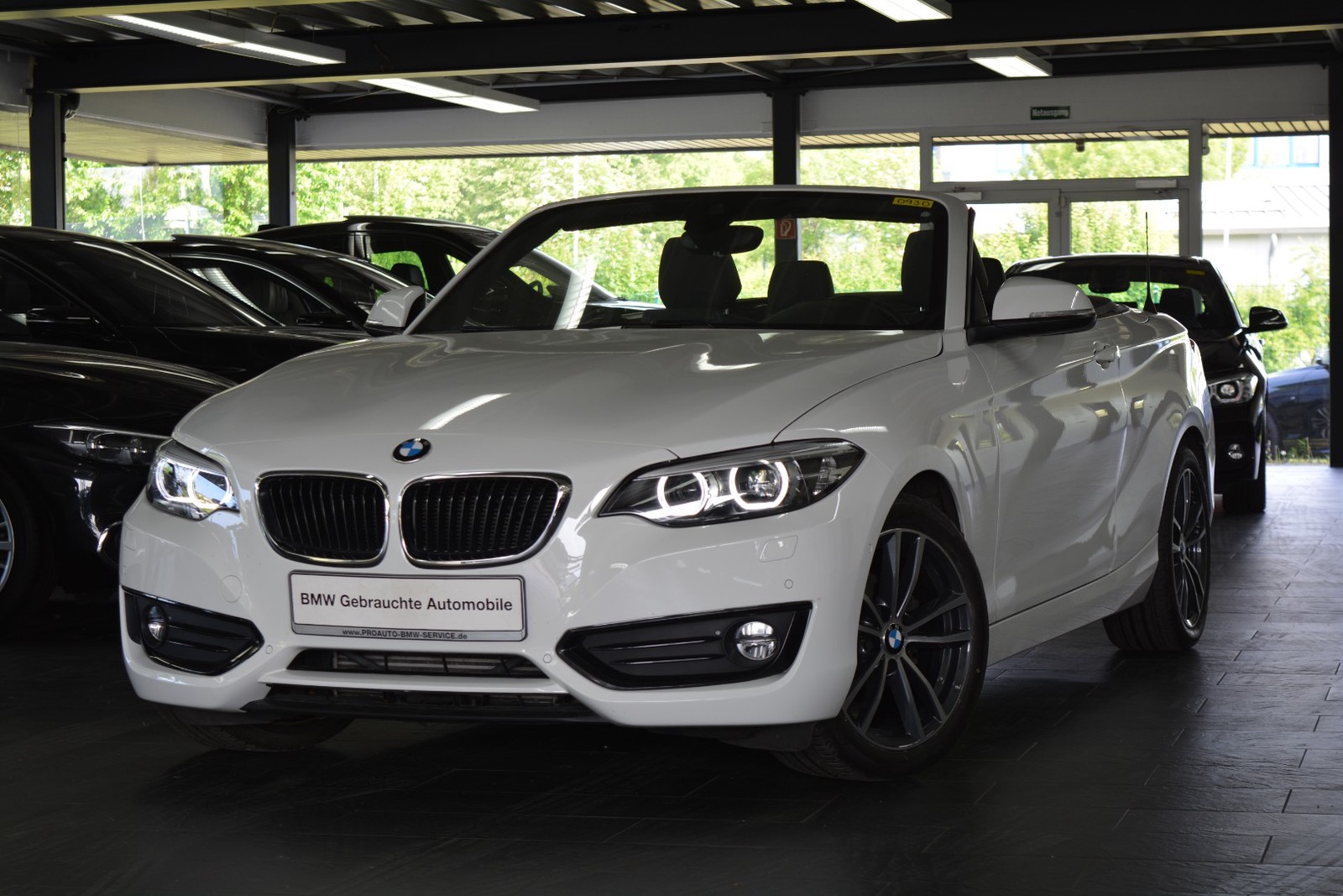 BMW 218i Cabrio Aut. Advantage LEDER/LED/NAVI
