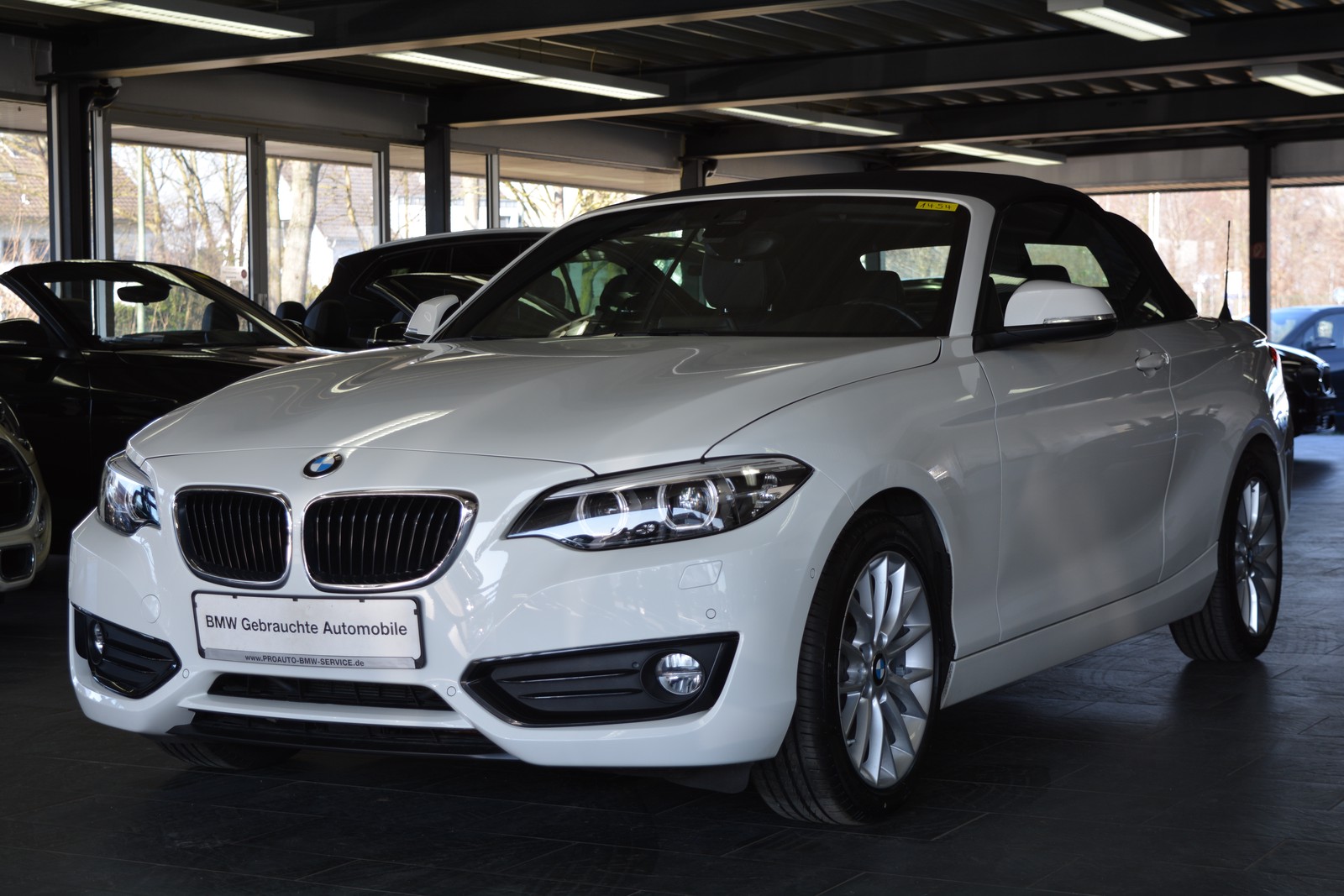 BMW 220i Cabrio Advantage LED/NAVI/LEDER/HIFI