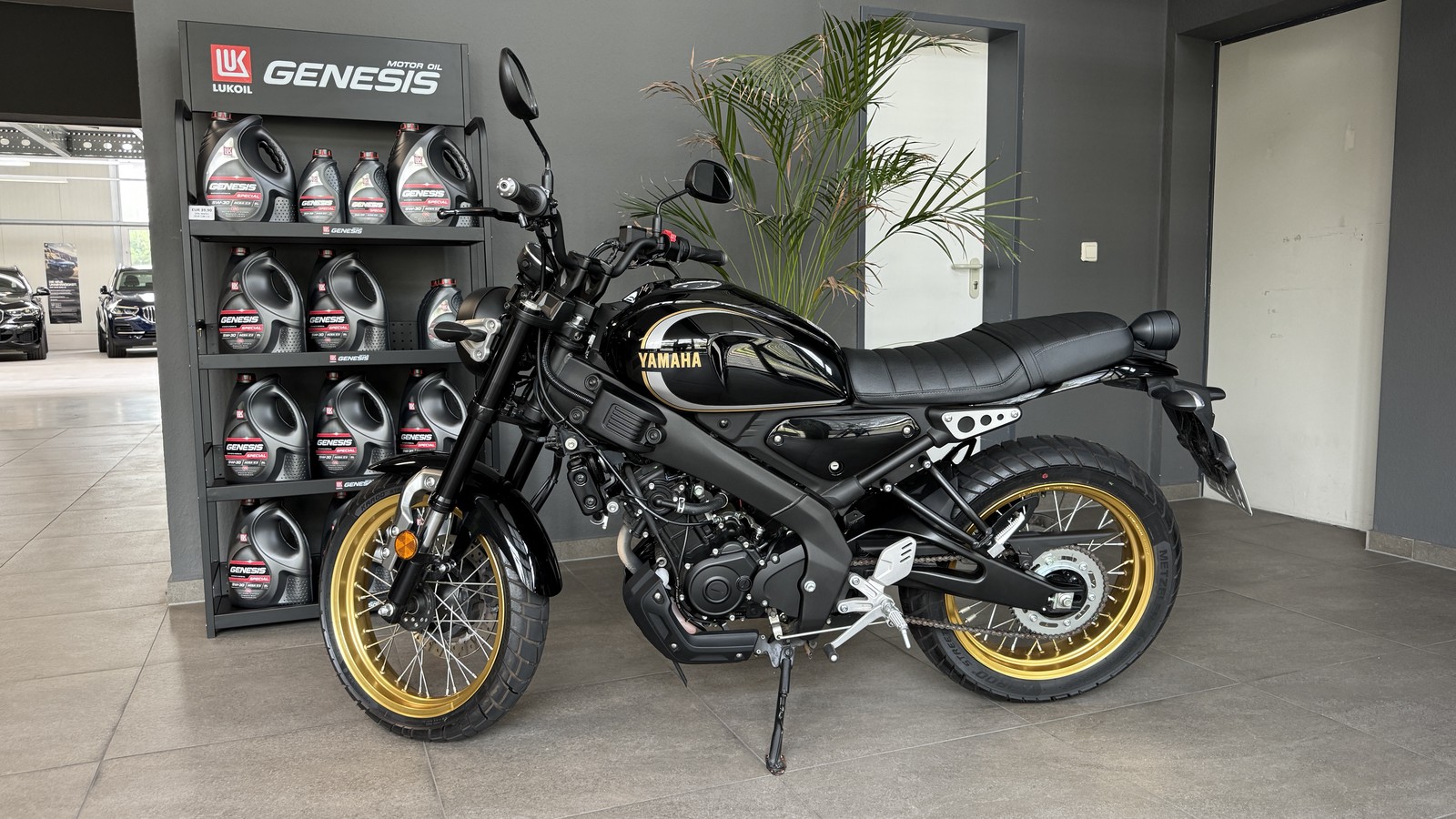Yamaha XSR 125 Legacy BLACK GOLD EDITION MTM125 C