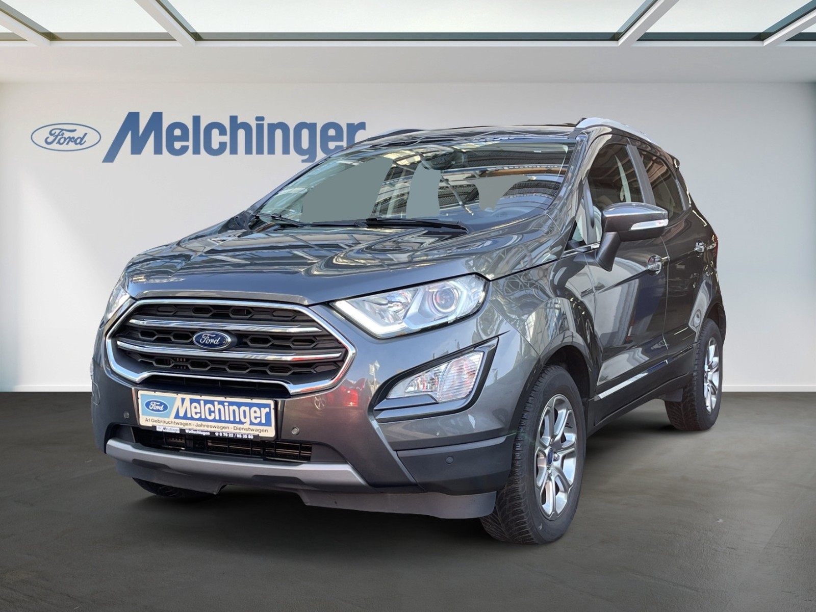 Ford EcoSport Titanium Rückfahrkamera/Winter-Paket/Automatik