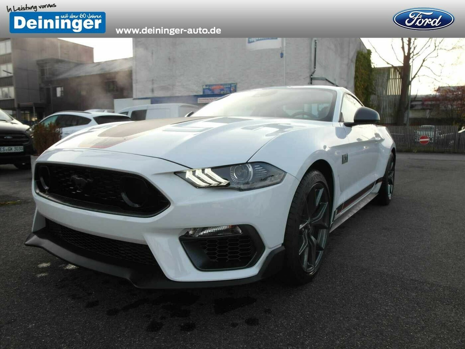 Ford Mustang Fastback 5.0 Ti-VCT V8 Aut. MACH1