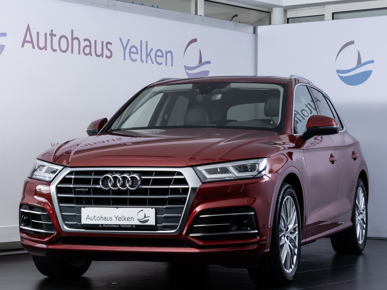 Audi Q5 3.0 TDI S-Line ACC PANO LUFT AHK