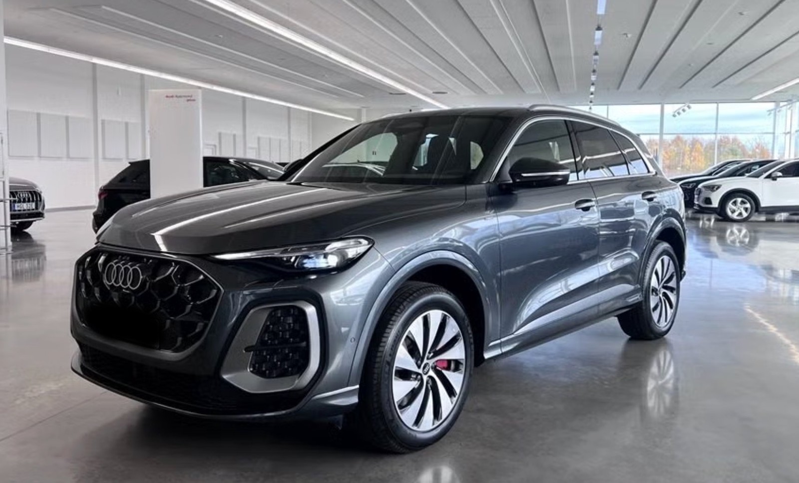 Audi Q5 2.0 e-hybrid quattro S-Line AHK