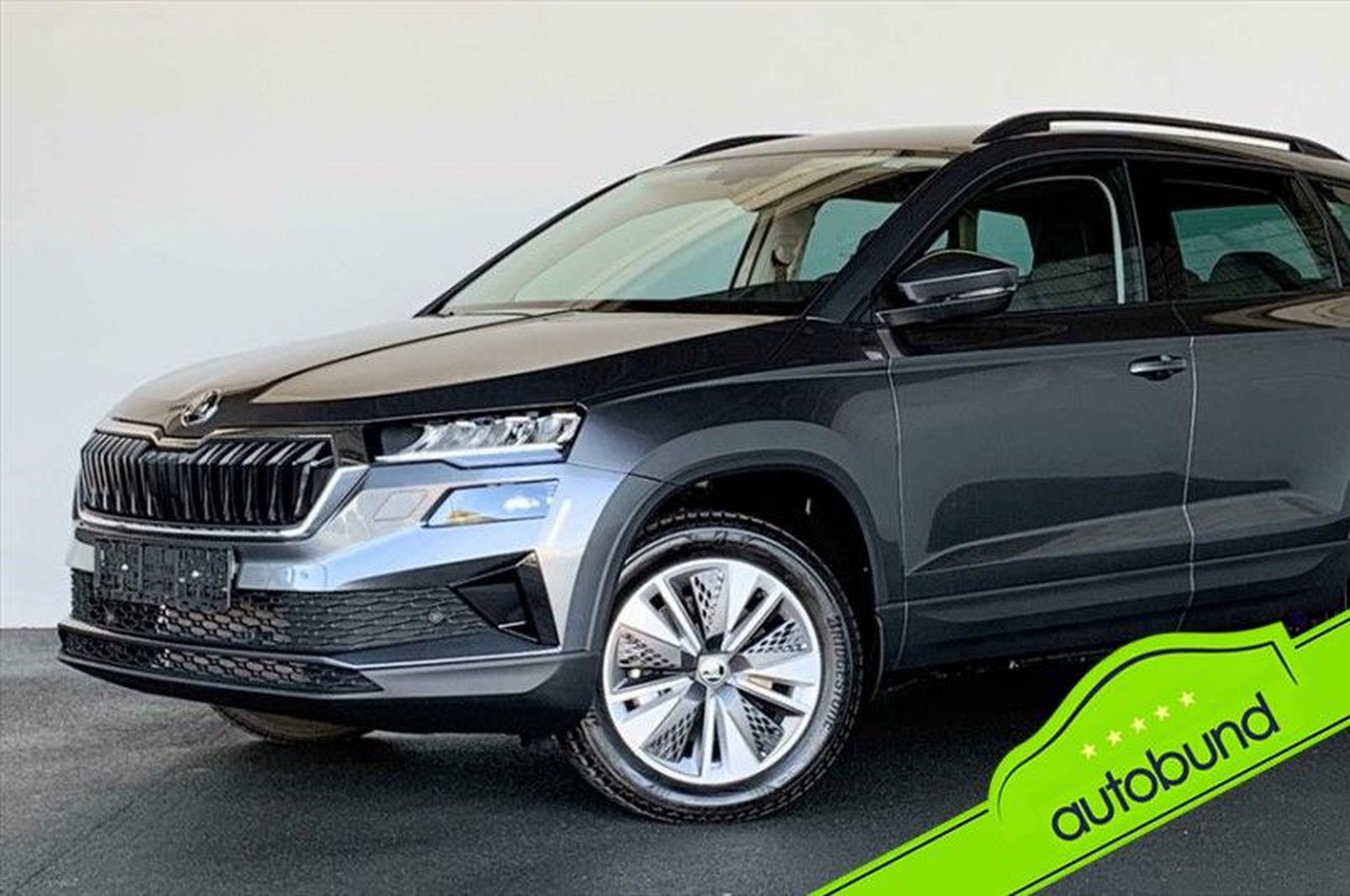 Skoda Karoq 1,5 TSI DSG Ambition DAB LED KAMERA LHZ