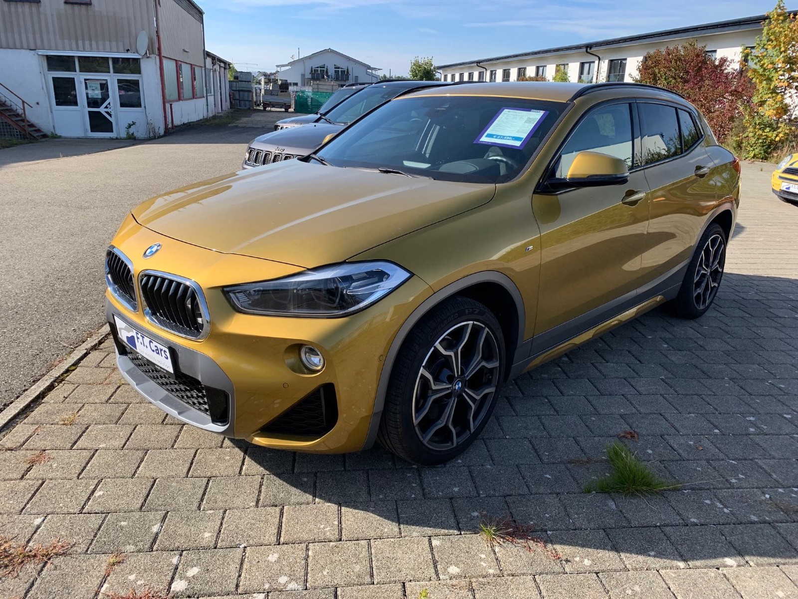 BMW X2 sDrive 20 i M Sport X (leichter Hagelschaden)