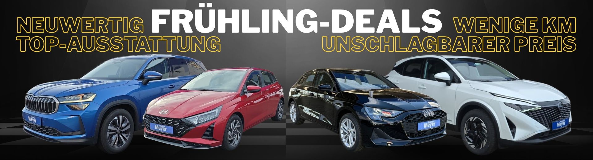 Autos bis zu 50% günstiger kaufen in Magdeburg und Braunschweig