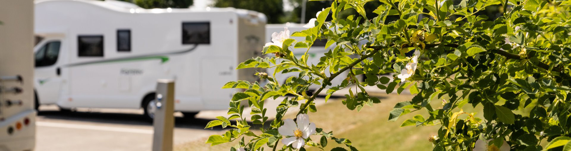 Wohnmobile Gettorf und Kiel | Premium Mobile Kuntz