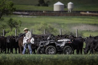 Nutzfahrzeuge Land- und Forstwirtschaft