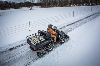 Nutzfahrzeuge Winterdienst Hausmeister