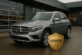 Autohaus Goldenbühl