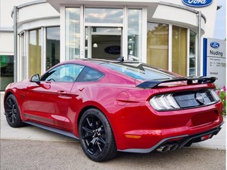 NPMGT Heckspoiler groß für Mustang 2015-2017