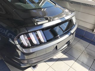 Heckscheiben Abdeckung / Lamellen Look für Ford Mustang Coupe in Hessen -  Calden, Tuning & Styling Anzeigen