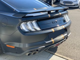 NPM18GT Heckspoiler groß für Mustang 