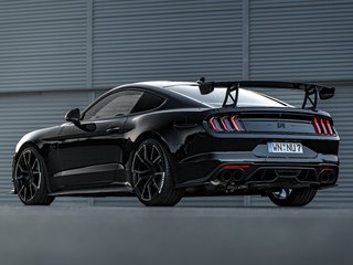 NPM18XTR Heckspoiler groß für Mustang